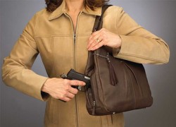 ConcealedCarry