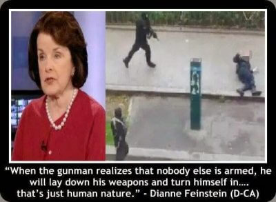 Feinstein gun 1.10.15