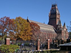 Hard times at Harvard: The endowment is going down