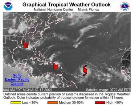Hurricanes - Week 11 Hurricanes - Week 11