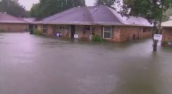 Louisiana_Flood