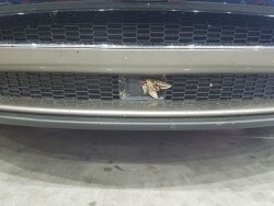 MothTesla