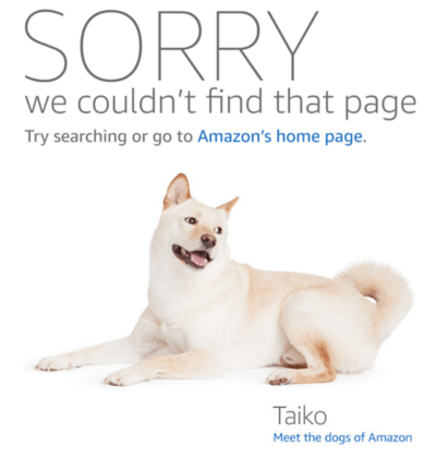 Amazon Sorry we couldn't find that page