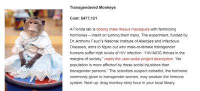 Transgendered Monkeys