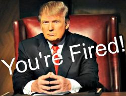 You're Fired