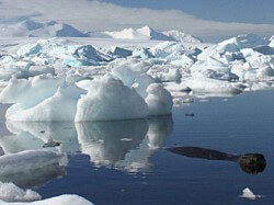 Antarctic ice melting at unprecedented rate due to steam coming out of Al Gore's ears.