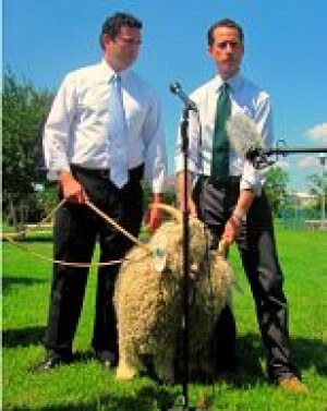 anthony-weiner-goat-attack
