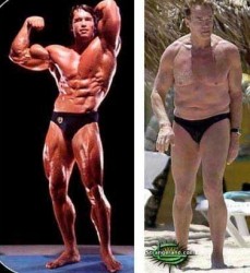 Governor Arnold Schwartzenegger personifies the sad decline of the state of California