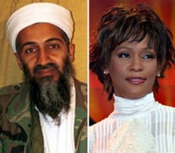 Osama and Whitney, sittin' in a tree, k-i-s-s-i-n-g