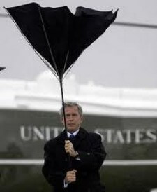 bush-umbrella