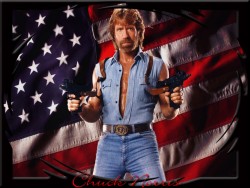 chuck norris flag