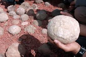 Stimulus money over easy: $141,002 to send Montana students to study Chinese dinosaur eggs
