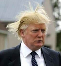 If Obama has to show his actual birth certificate, shouldn’t Donald Trump have to show his actual hair?
