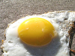 Egg Harbor, Wisconsin record temperatures