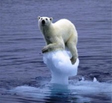 Think of yourself as the polar bear, tenuously clinging to life on a dying planet. Waaaaa.