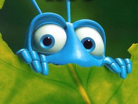 indian-super-bug