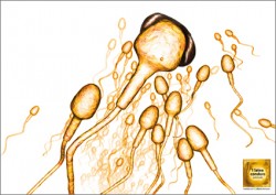 To the Chinese, this condom ad is pregnant with meaning.