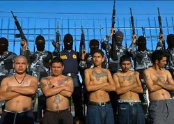 Members of an illegal alien social club on their way to pick crops in California's fields