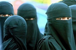 muslim_women It's much easier to be a Muslim cross-dresser because the burkha hides your adam's apple