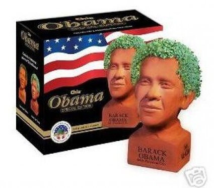 obama chia pet obama chia pet