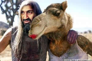 pakistan-camel-sex-google