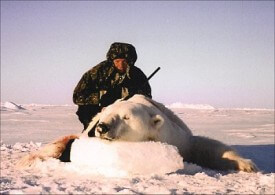 polar bear hunt