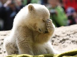 polar bear