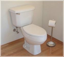 potty-parity-act potty-parity-act