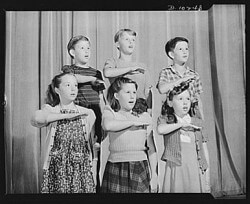 socialism_pledge_allegiance The Socialist States of America?