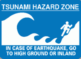 tsunami-november