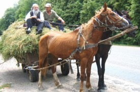 How much do you have in common with these Ukrainian peasants