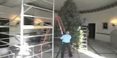 The audacity of ho-ho-hope: It took hundreds of workers four days to decorate the White House Christmas tree